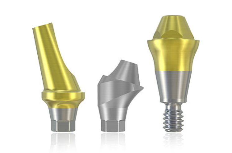 BV Prosthetic 2